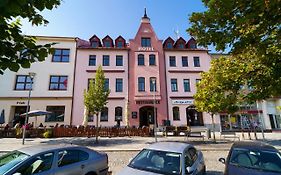 Hotel U Labutě